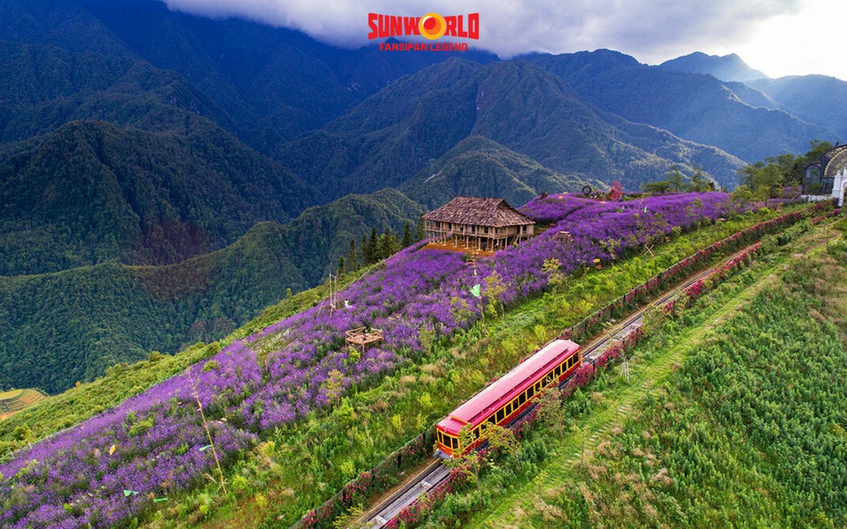 Các điểm check in Sapa: Thung lũng Mường Hoa 
