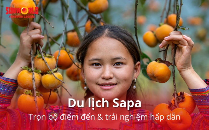 Du lịch Sapa 2025: Trọn bộ điểm đến & trải nghiệm hấp dẫn