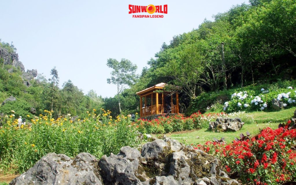 Du lịch Sapa: Hệ sinh thái Hàm Rồng 