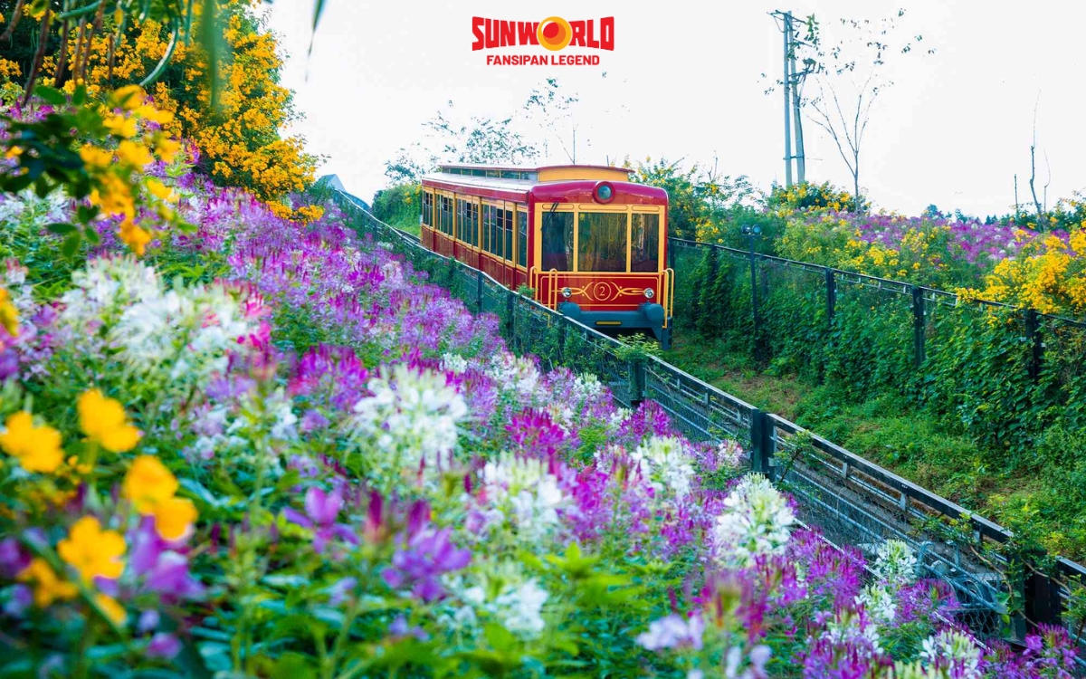 Du lịch Sapa: Thung lũng Mường Hoa 