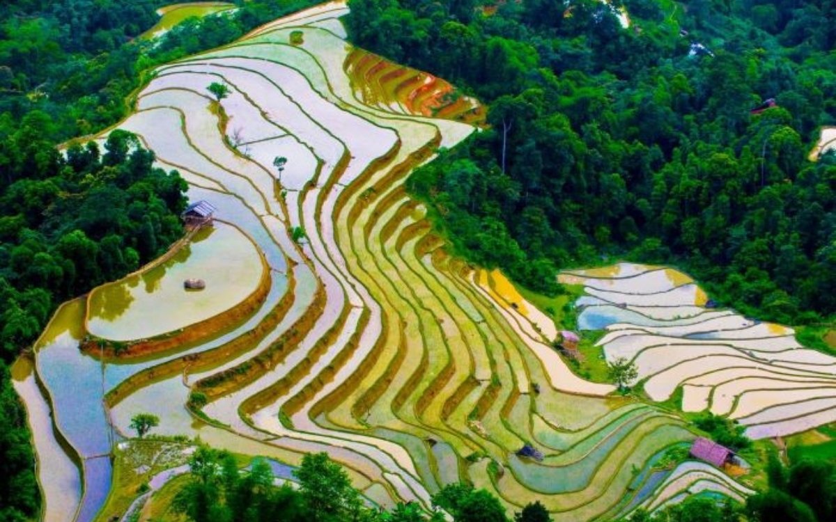 Ruộng bậc thang mùa nước đổ khi du lịch Sapa tháng 4