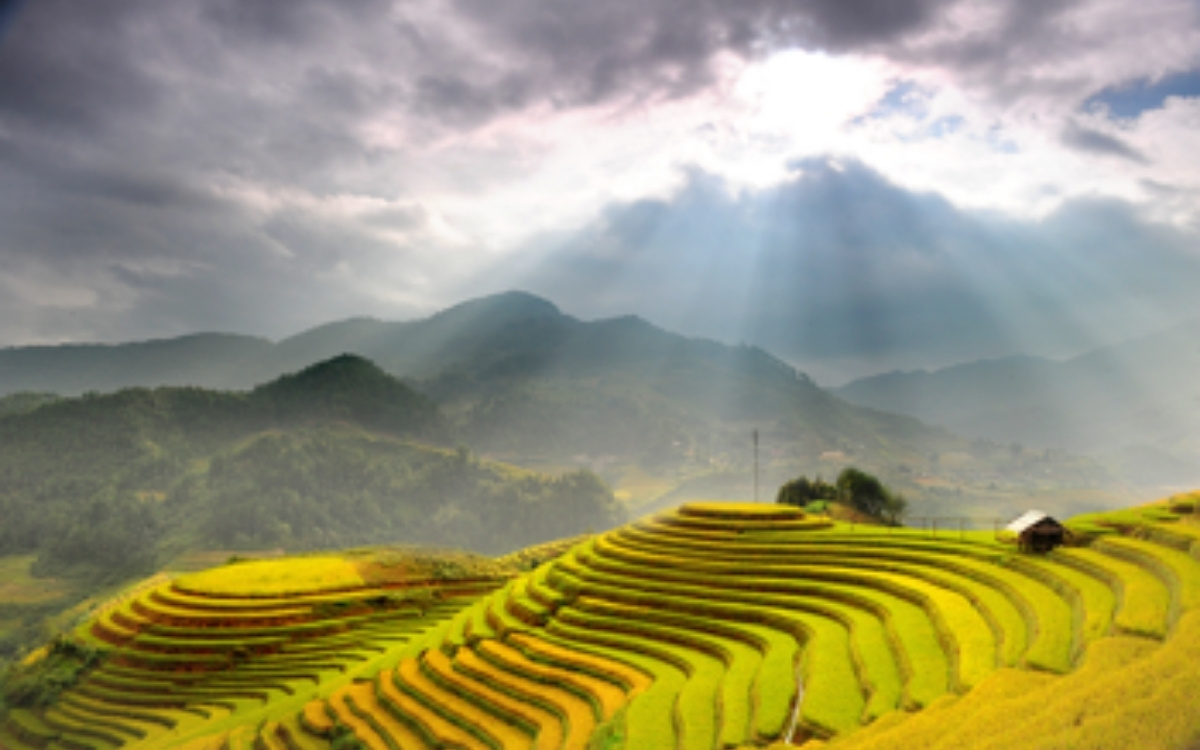 Thời tiết Sapa tháng 8 đôi lúc sẽ xuất hiện mưa và sương mù