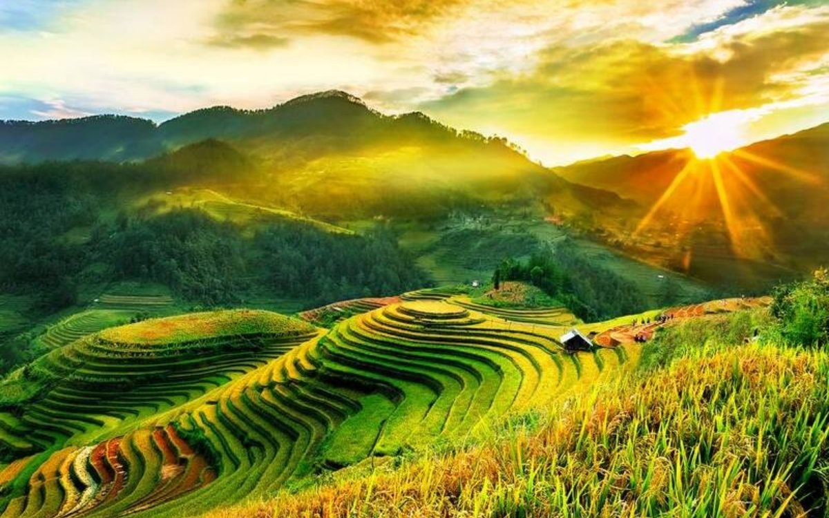 Ngắm mùa lúa xanh và thời khắc giao mùa khi du lịch Sapa tháng 8