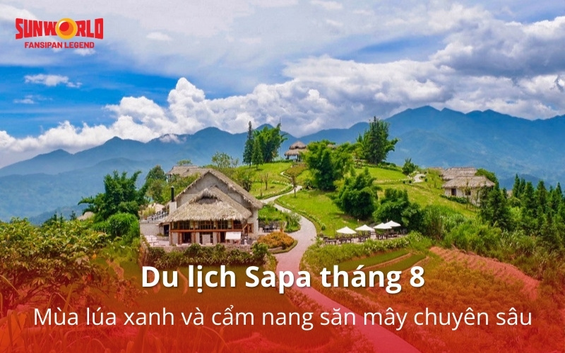 Du lịch Sapa tháng 8: Mùa lúa xanh và cẩm nang săn mây chuyên sâu