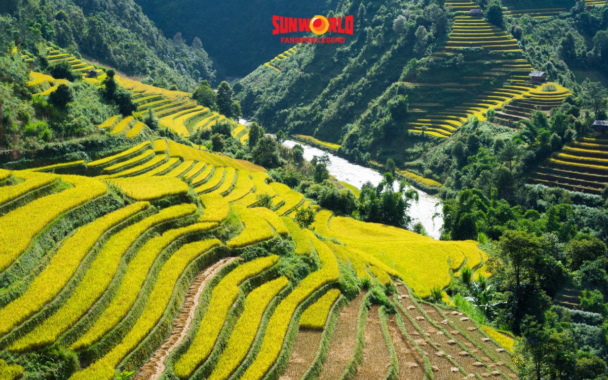 Nên đi Fansipan vào tháng mấy? Tháng 9 - 10 là mùa vàng ở Tây Bắc