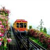 Vé Tàu Hỏa Leo Núi Mường Hoa 2 Chiều
