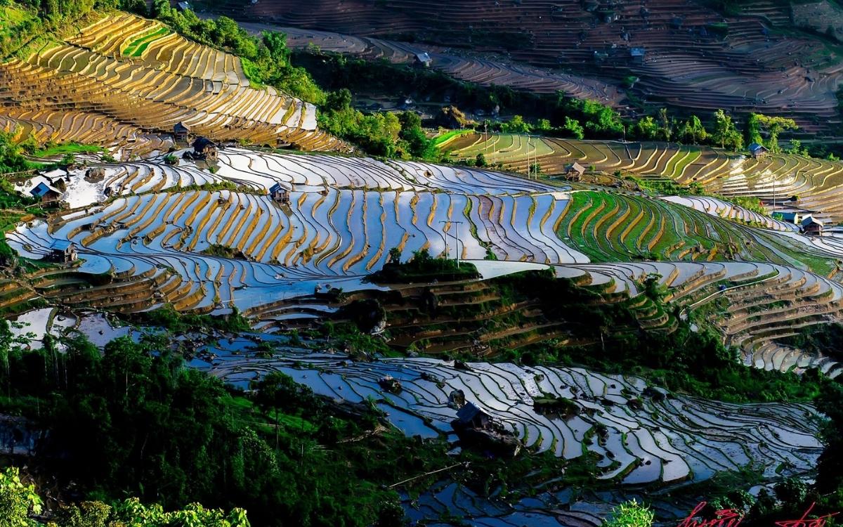 Ngắm Mùa Nước Đổ khi đi Sapa tháng 5