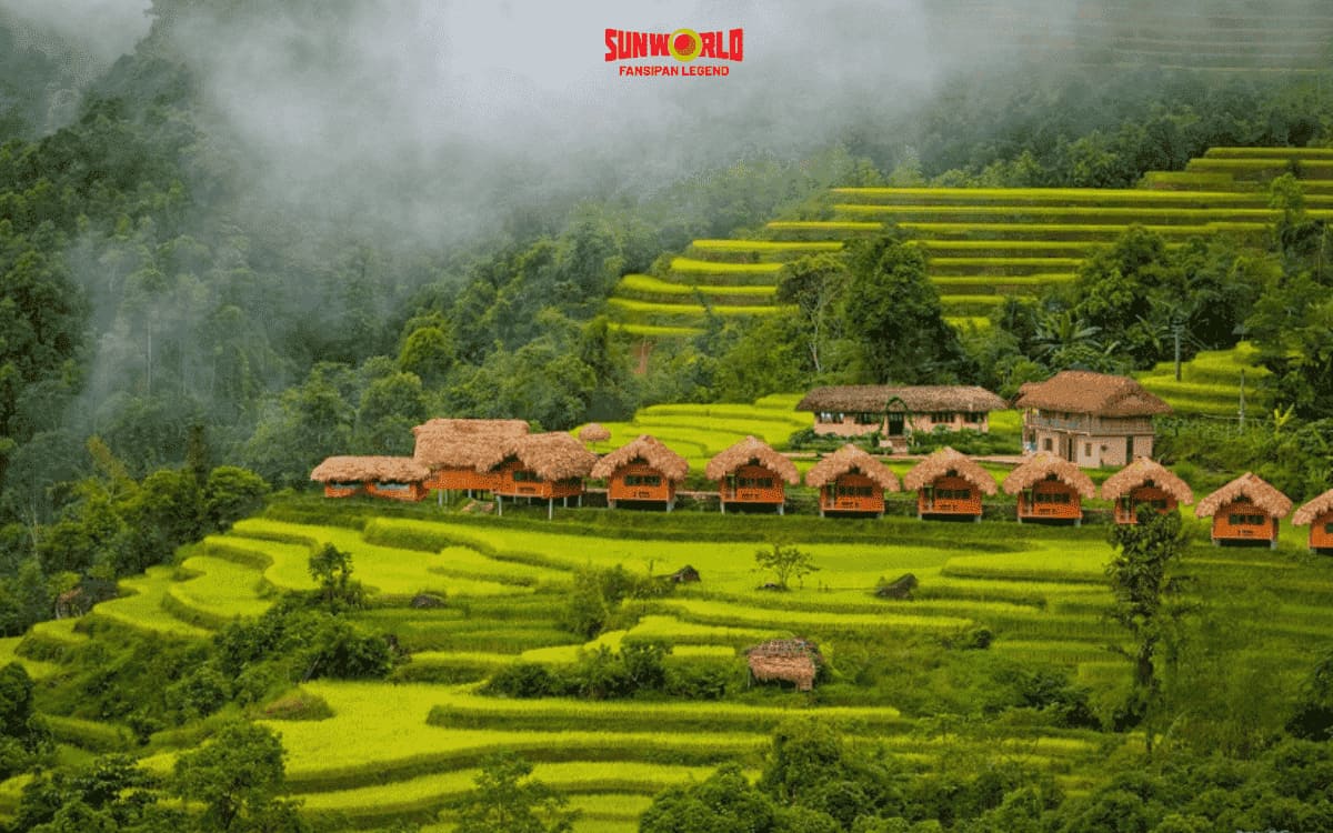 Homestay ngắm trọn sapa mùa tháng 9