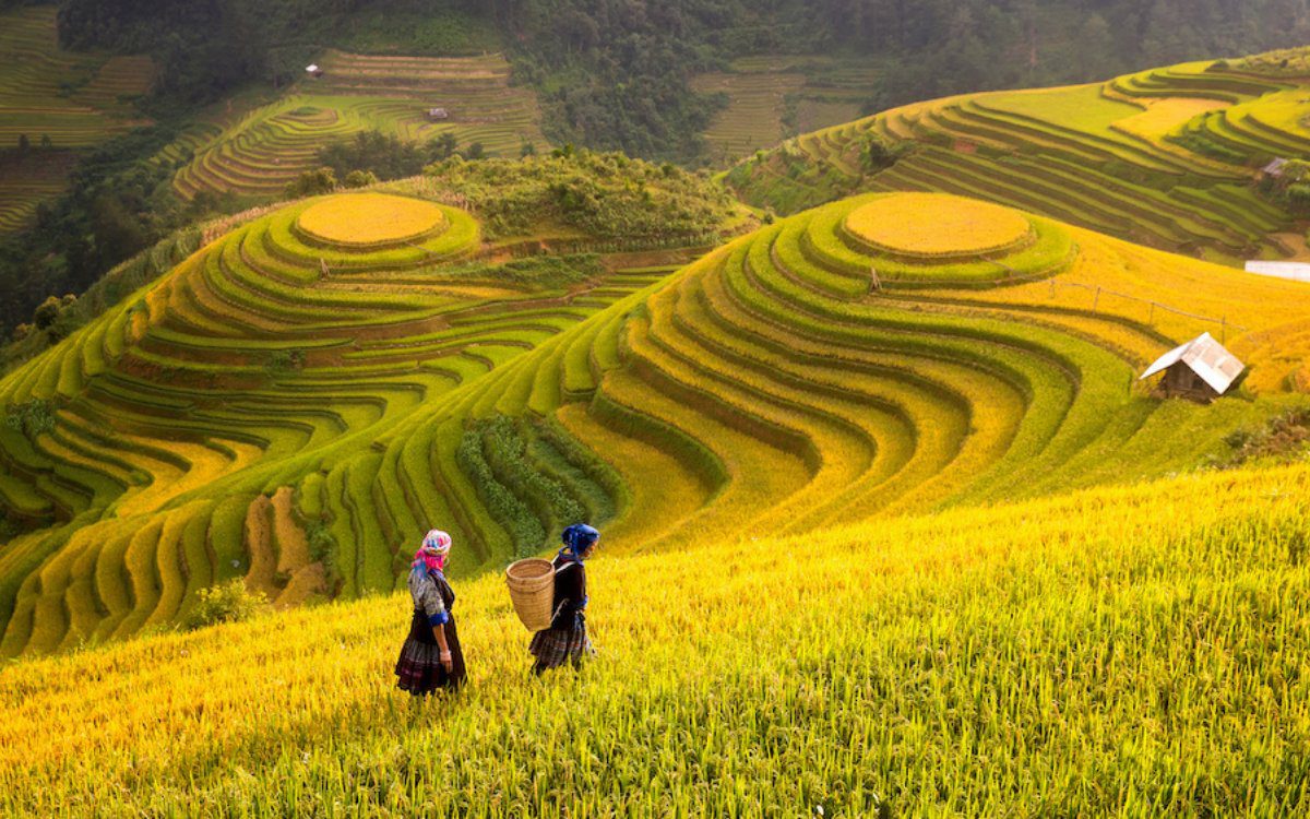 Thời điểm lý tưởng nhất du lịch Sapa 4 ngày 3 đêm
