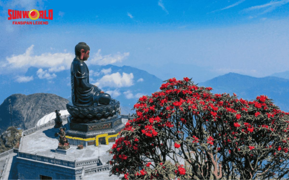 nóc nhà đông dương