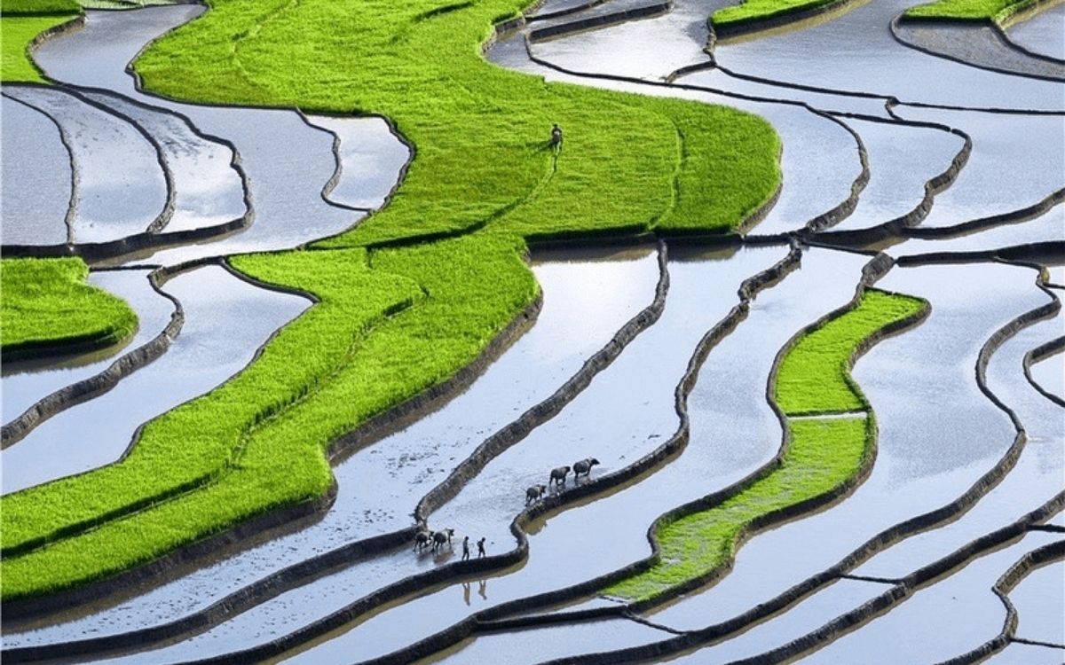 Sapa tháng 5 đã bước vào Mùa Nước Đổ