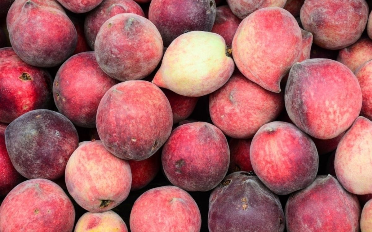 Đi Sapa tháng 5 thưởng thức các loại trái cây đặc trưng của vùng Tây Bắc