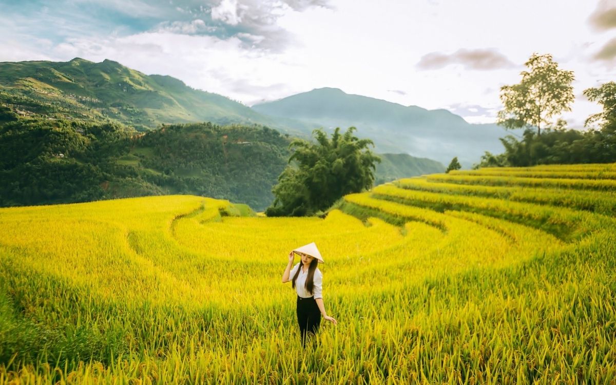 Săn ảnh mùa lúa chín khi đi du lịch Sapa tháng 9