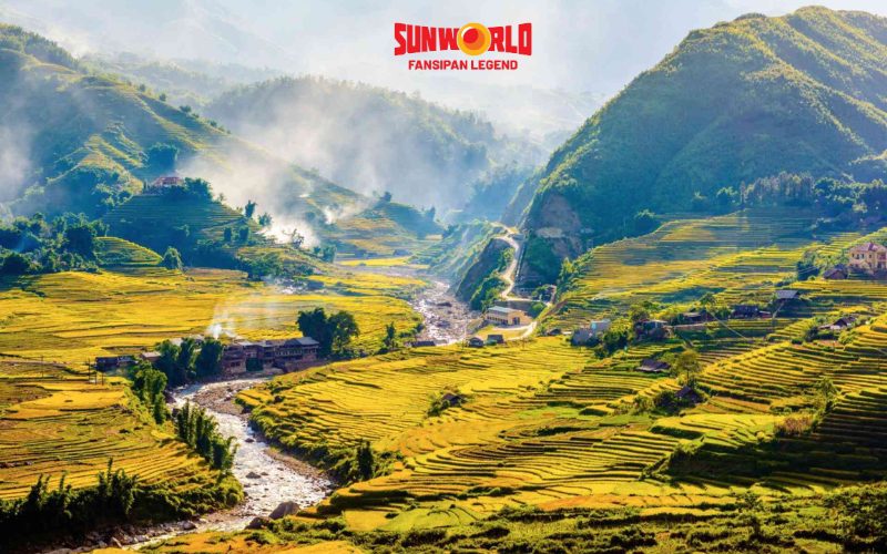 Săn mùa lúa chín Sapa ở Thung lũng Mường Hoa
