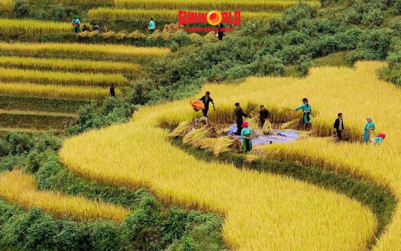 Tìm hiểu văn hóa địa phương vào mùa chín Sapa 