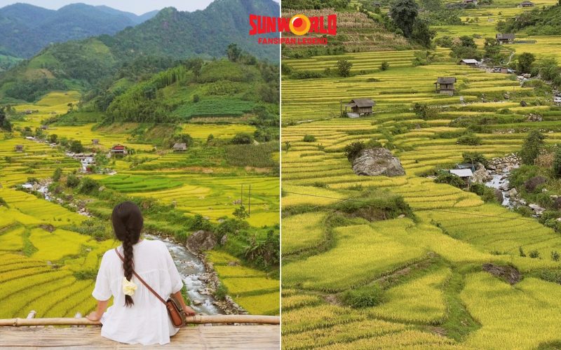 Chuẩn bị trang phục và thiết bị khi săn mùa lúa chín Sapa
