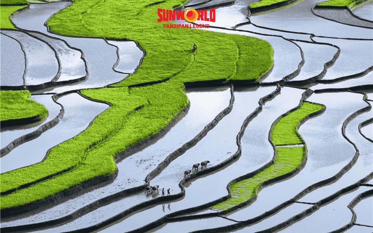 Nậm Cang Sapa