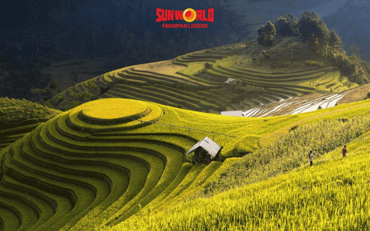 Nậm Cang Sapa