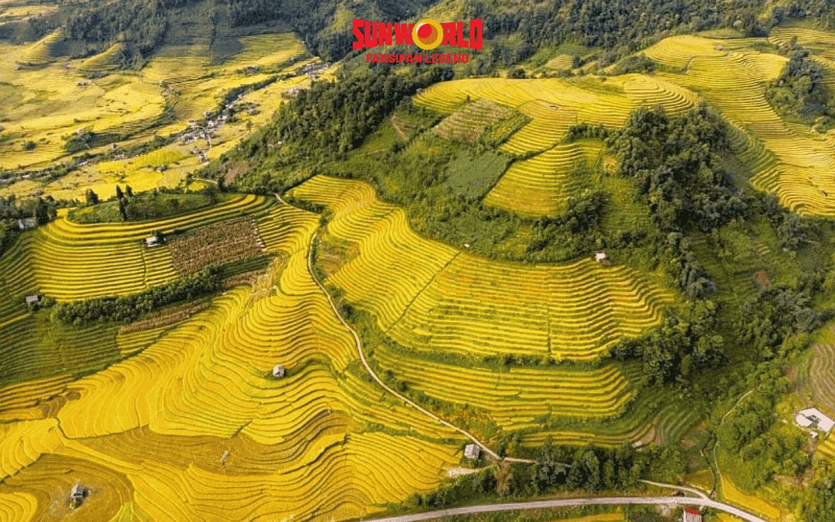 Nậm Cang Sapa