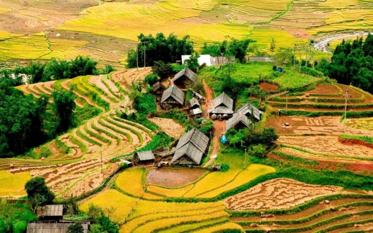 ban ta phin sapa 1