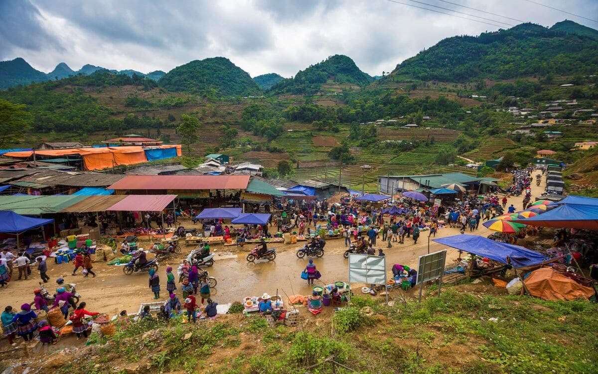 Chợ Phiên Cán Cấu Sapa là một chợ phiên Sapa chuyên về trâu