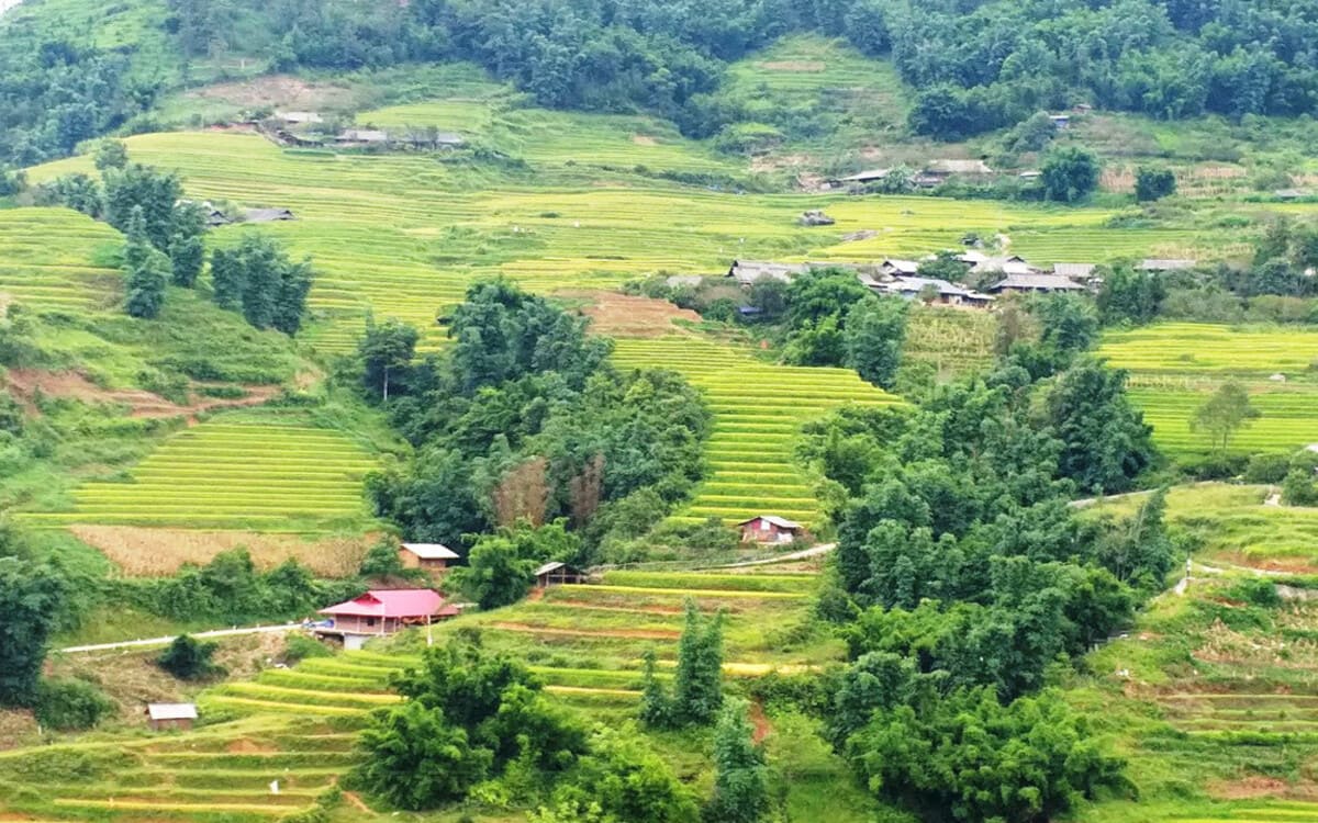 Xã Trung Chải là một điểm ngắm ruộng bậc thang đẹp ở Sapa