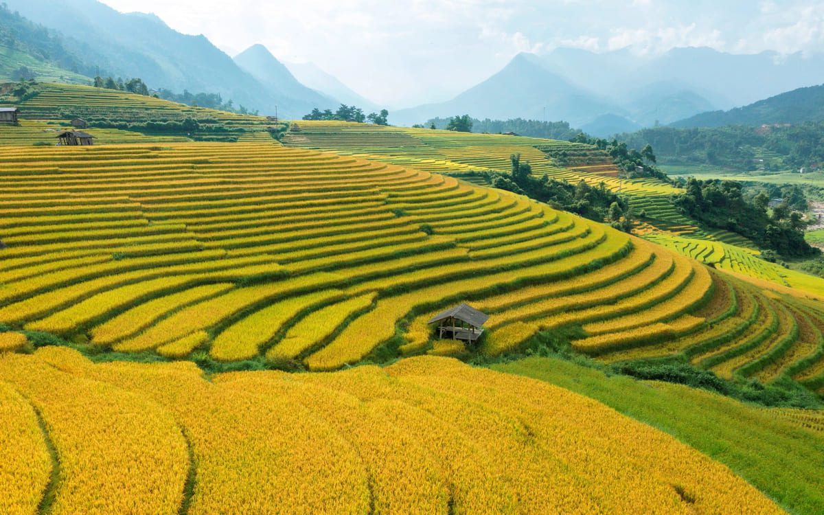 Kinh nghiệm trekking & khám phá ruộng bậc thang ở Sapa