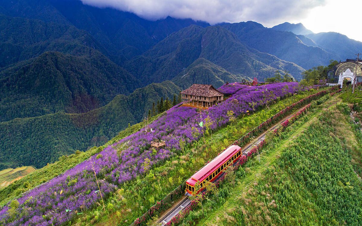 Ngắm ruộng bậc thang ở Sapa tại Thung lũng Mường Hoa