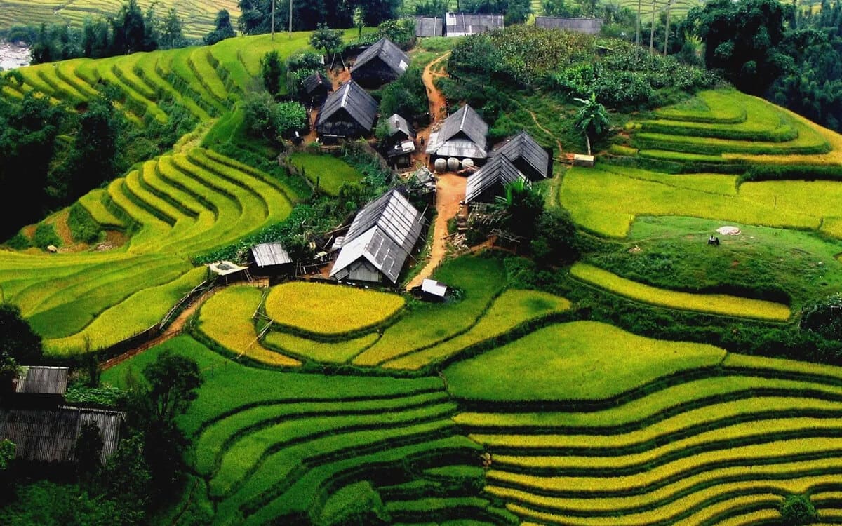 Bản Y Linh Hồ là một địa điểm ngắm ruộng bậc thang ở Sapa
