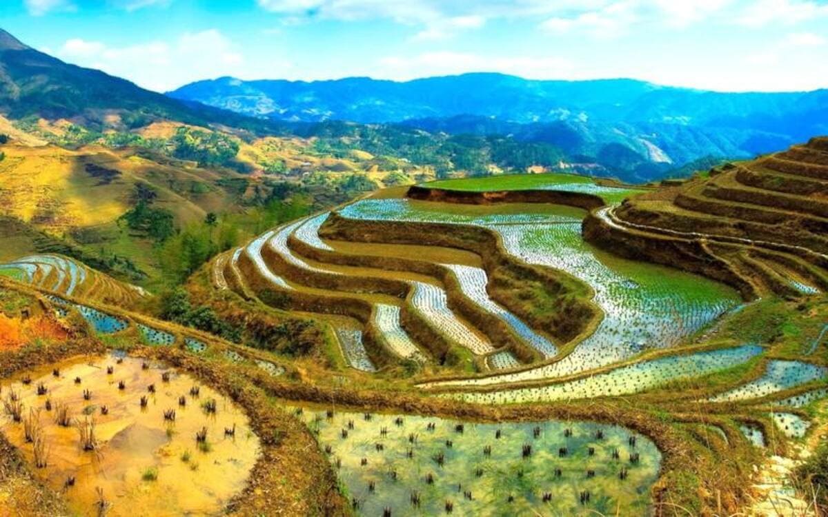 Bãi đá cổ là điểm ngắm ruộng bậc thang đẹp ở Sapa