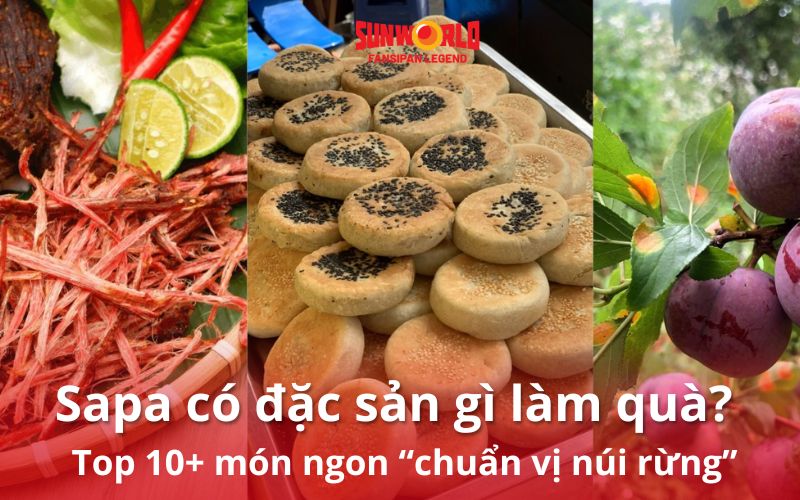 Sapa có đặc sản gì làm quà? Gợi ý top 10+ món ngon “chuẩn vị núi rừng”