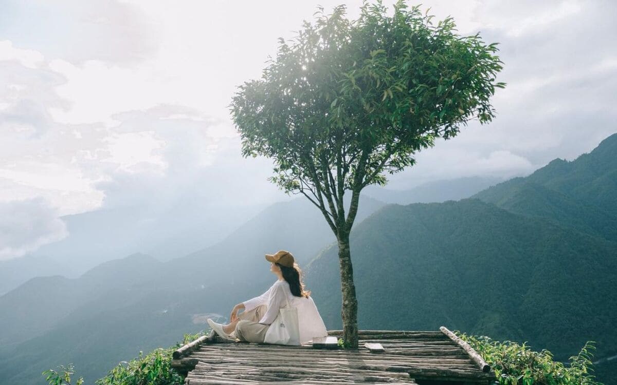 Cây Cô Đơn Ô Quy Hồ & các diểm dừng chân tự nhiên